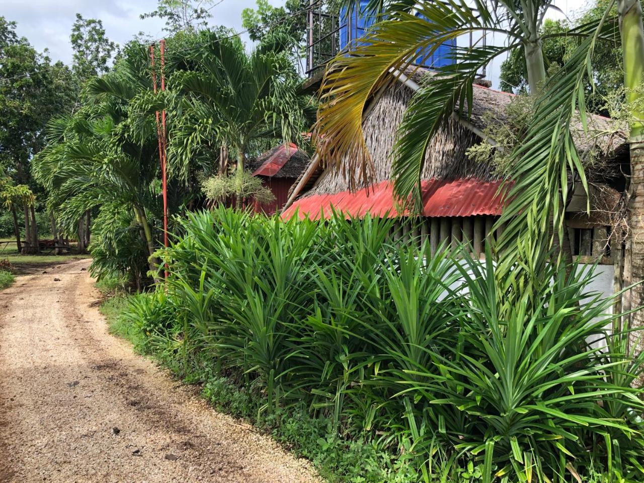 House @Bohol Garden Homes Panglao Exterior foto